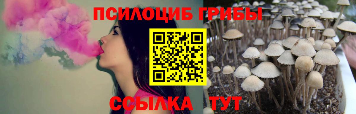 Галлюциногенные грибы Cubensis  Псилоцибиновые грибы Cubensis  Изобильный  Вход с VPN 