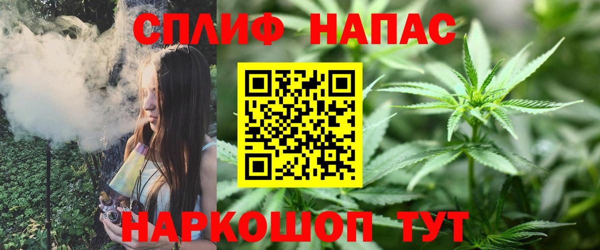 Конопля конопля Изобильный