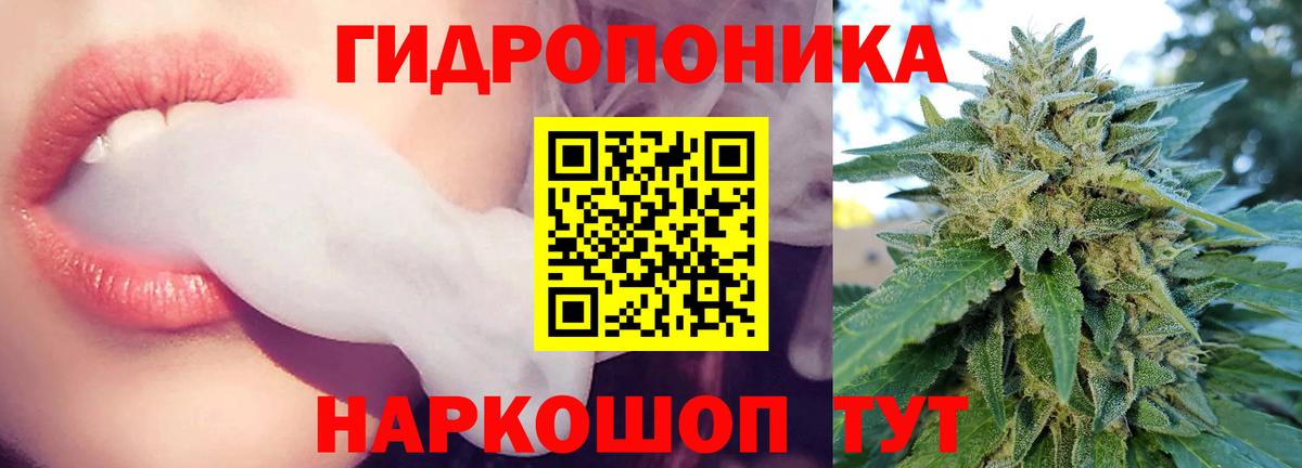 Конопля индика  Бошки Шишки Bruce Banner  Вход с VPN  Конопля марихуана  Изобильный 